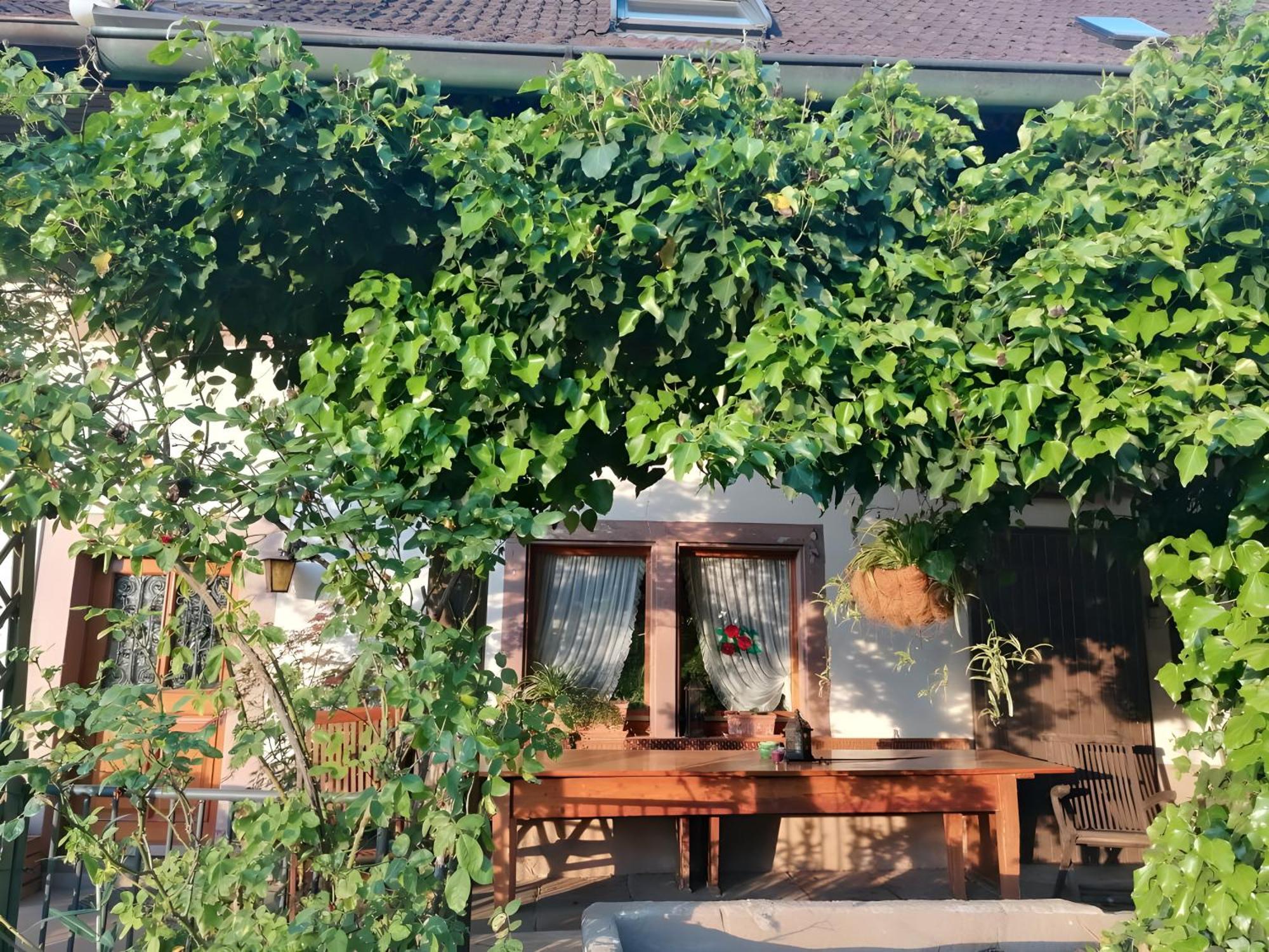 Room In Guest Room - Double Room Apple Blossom Schuttertal Extérieur photo